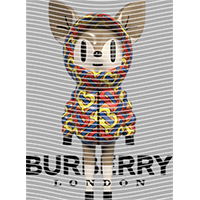 Brand Catalog-ZX 333